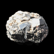 Amazing Black Tourmaline cluster 64*31mm 243.7g Rocks and Things Store