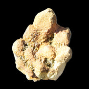 Elestial Clear Quartz crystals with crystal Calcite coating from Afghanistan 179.2g in sunlight - Rocks and Things Store