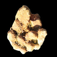 Elestial Clear Quartz crystals with crystal Calcite coating from Afghanistan 179.2g in sunlight - Rocks and Things Store