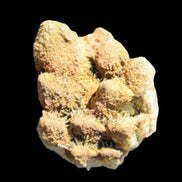 Elestial Clear Quartz crystals with crystal Calcite coating from Afghanistan 179.2g in sunlight - Rocks and Things Store