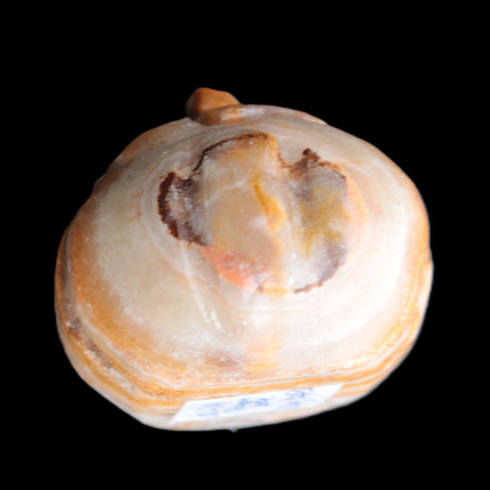Afghan Jade pumpkin 161g Rocks and Things