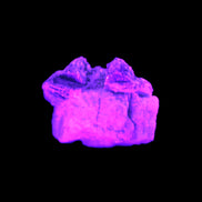 Tiny Aquamarine crystals in Mica, Lepidolite Feldspar matrix 46*42*30mm 198ct 39.6g in UV light - Rocks and Things Store