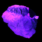 Tiny Aquamarine crystals in Mica, Lepidolite Feldspar matrix 46*42*30mm 198ct 39.6g in UV light - Rocks and Things Store