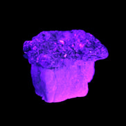 Tiny Aquamarine crystals in Mica, Lepidolite Feldspar matrix 46*42*30mm 198ct 39.6g in UV light - Rocks and Things Store