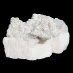 Afghan Jade Onyx hand-carved Apple 72*88mm 597g Rocks and Things Store