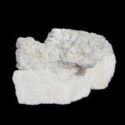 Afghan Jade Onyx hand-carved Apple 72*88mm 597g Rocks and Things Store