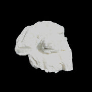 Afghan Jade Onyx hand-carved Apple 72*88mm 597g Rocks and Things Store