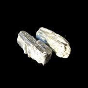 Epidote 2 crystals 19/24mm 12.2g Rocks and Things Store