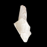 Quartz cluster 35*25mm 8.7g in sunlight - Rocks and Things Store