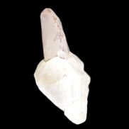 Quartz cluster 35*25mm 8.7g in sunlight - Rocks and Things Store