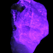 Green and Bi-colour Tourmaline on Quartz cluster 30*14*25mm 87.5ct 17.6g in UV light - Rocks and Things Store