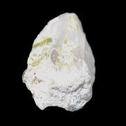 Green and Bi-colour Tourmaline on Quartz cluster 30*14*25mm 87.5ct 17.6g in bright sunlight - Rocks and Things Store