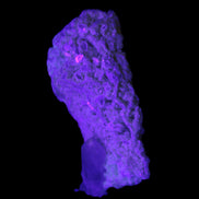 Quartz with tiny Inner Child cluster on Feldspar-Mica matrix 41*11*21mm 67ct 13.4g in UV light - Rocks and Things Store