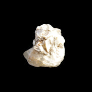 Topaz cluster from Pakistan 3.5g in sunlight - Rocks and Things Store