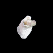 Watermelon Tourmaline on Quartz cluster 27mm 21ct 4.2g in sunlight - Rocks and Things Store