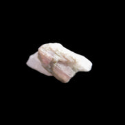 Watermelon Tourmaline on Quartz cluster 27mm 21ct 4.2g in sunlight - Rocks and Things Store