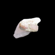 Watermelon Tourmaline on Quartz cluster 27mm 21ct 4.2g in sunlight - Rocks and Things Store