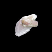 Watermelon Tourmaline on Quartz cluster 27mm 21ct 4.2g in sunlight - Rocks and Things Store