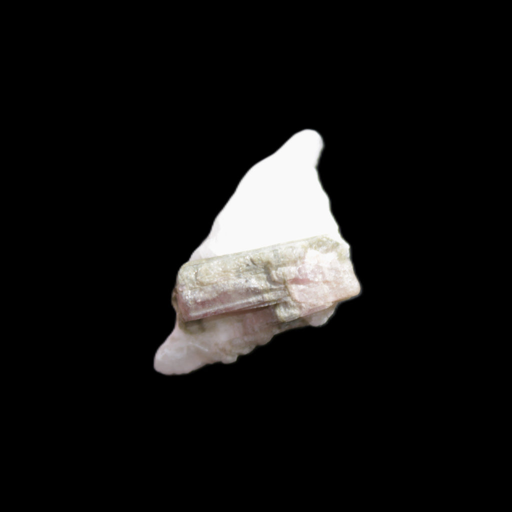 Watermelon Tourmaline on Quartz cluster 27mm 21ct 4.2g in sunlight - Rocks and Things Store