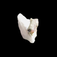 Watermelon Tourmaline on Quartz cluster 27mm 21ct 4.2g in sunlight - Rocks and Things Store