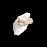 Watermelon Tourmaline on Quartz cluster 27mm 21ct 4.2g in sunlight - Rocks and Things Store