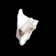 Watermelon Tourmaline on Quartz cluster 27mm 21ct 4.2g in sunlight - Rocks and Things Store