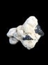 Black Tourmaline terminated crystal cluster in matrix 6.7g in sunlight - Rocks and Things Store