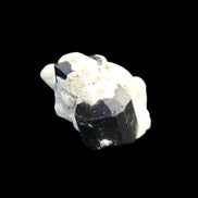 Black Tourmaline terminated crystal cluster in matrix 6.7g in sunlight - Rocks and Things Store