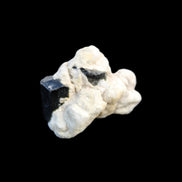 Black Tourmaline terminated crystal cluster in matrix 6.7g in sunlight - Rocks and Things Store