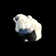 Black Tourmaline terminated crystal cluster in matrix 6.7g in sunlight - Rocks and Things Store