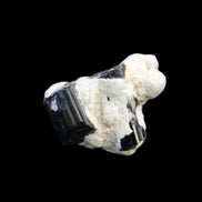 Black Tourmaline terminated crystal cluster in matrix 6.7g in sunlight - Rocks and Things Store