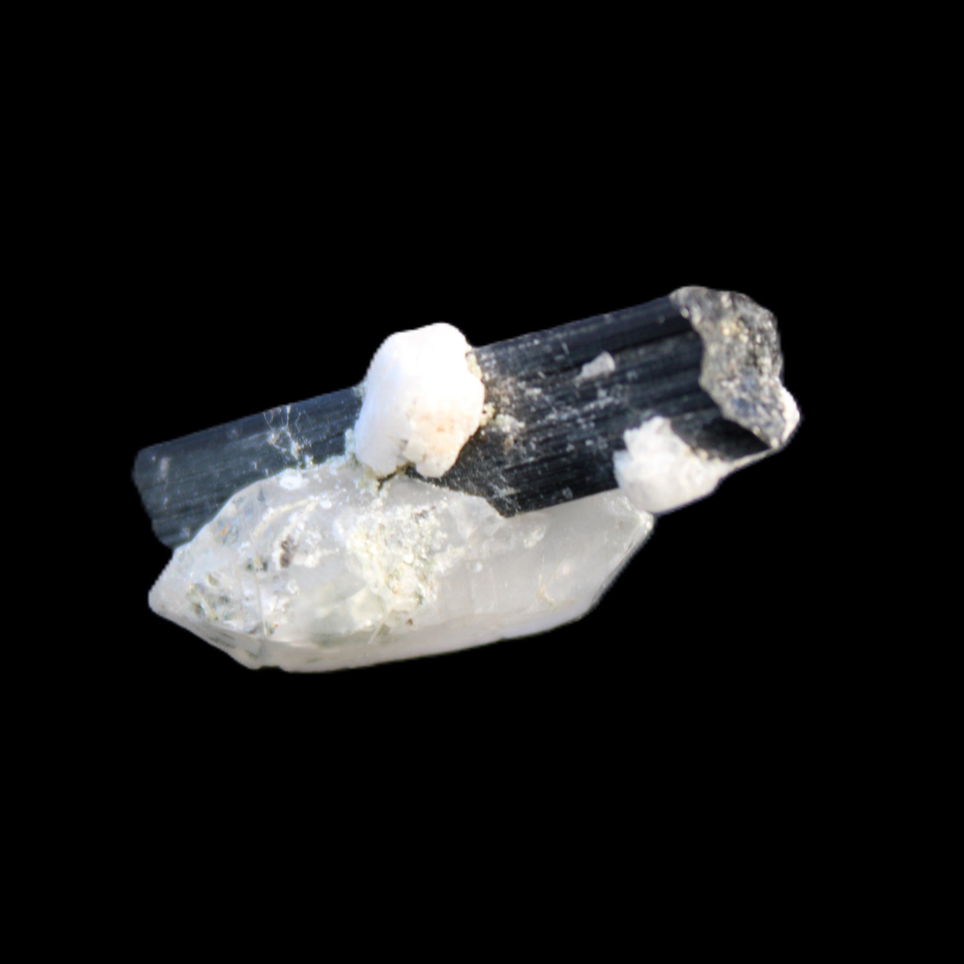 Black Tourmaline with Quartz crystal 5.6g in sunlight - Rocks and Things Store