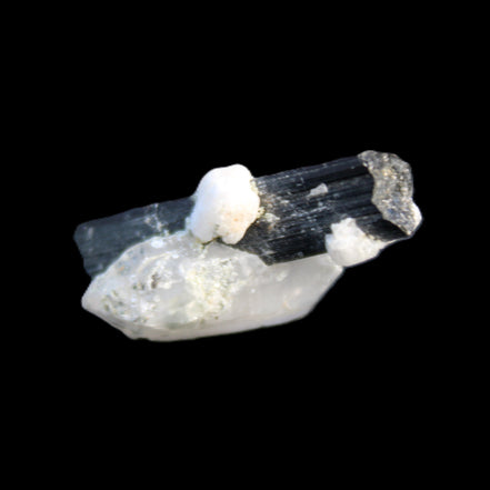 Black Tourmaline with Quartz crystal 5.6g in sunlight - Rocks and Things Store