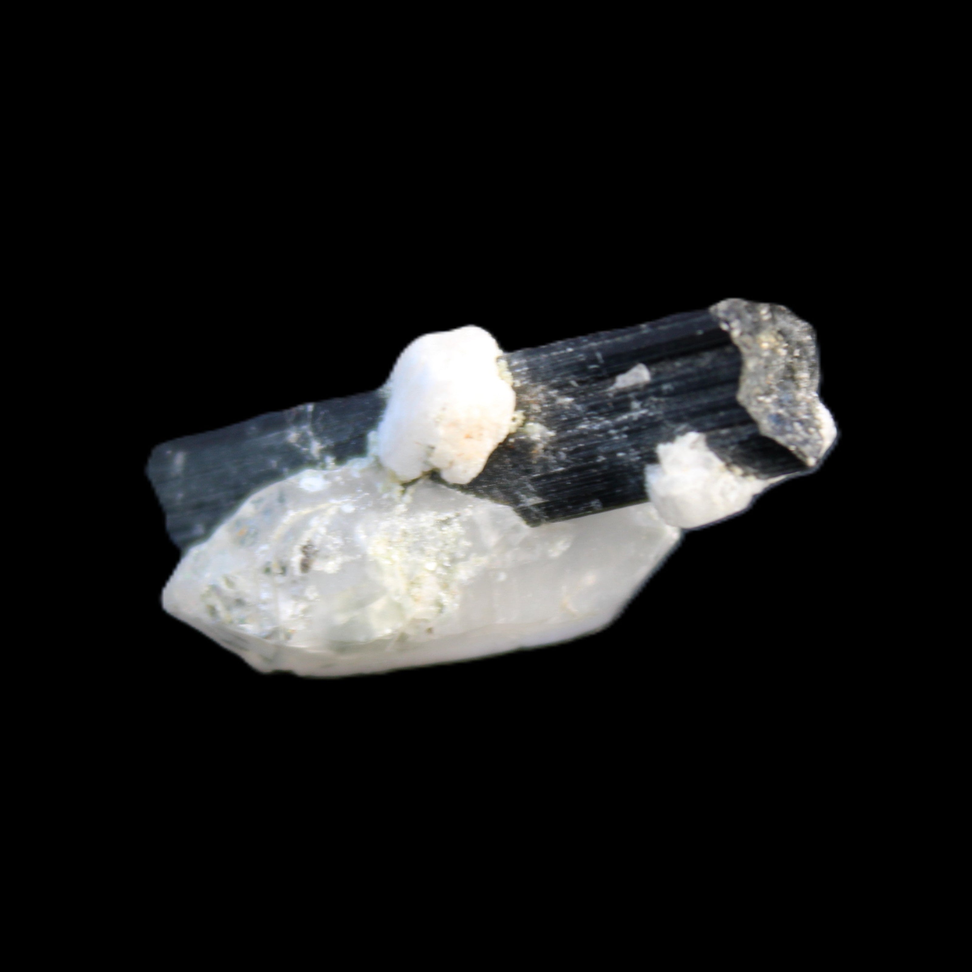 Black Tourmaline with Quartz crystal 5.6g in sunlight - Rocks and Things Store