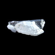 Black Tourmaline with Quartz crystal 5.6g in sunlight - Rocks and Things Store