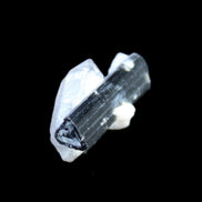 Black Tourmaline with Quartz crystal 5.6g in sunlight - Rocks and Things Store
