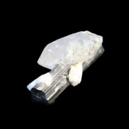 Black Tourmaline with Quartz crystal 5.6g in sunlight - Rocks and Things Store