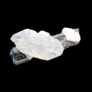 Black Tourmaline with Quartz crystal 5.6g in sunlight - Rocks and Things Store