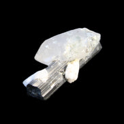Black Tourmaline with Quartz crystal 5.6g in sunlight - Rocks and Things Store