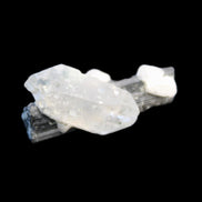 Black Tourmaline with Quartz crystal 5.6g in sunlight - Rocks and Things Store