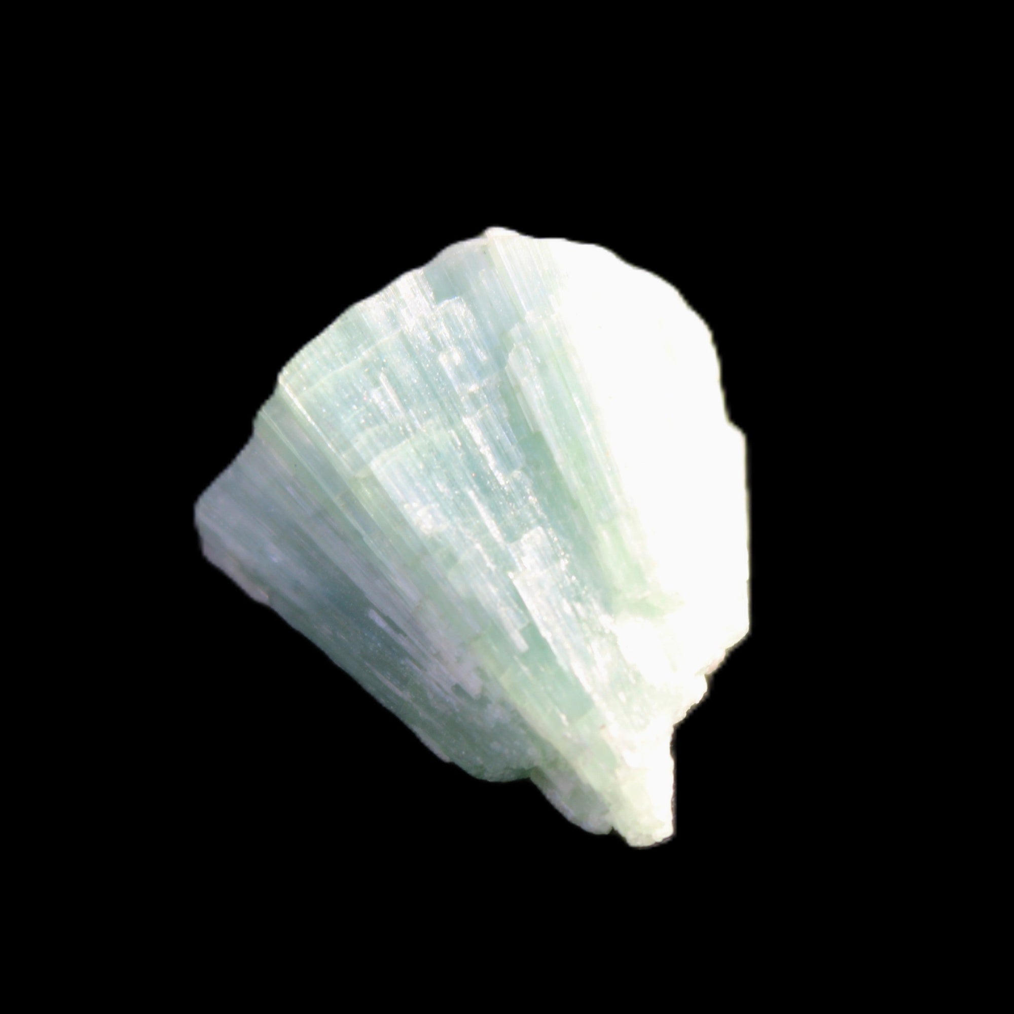Light Green Tourmaline floral cluster 5.2g in sunlight - Rocks and Things Store