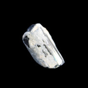 Black Tourmaline terminated crystal cluster in matrix 9.2g in sunlight - Rocks and Things Store