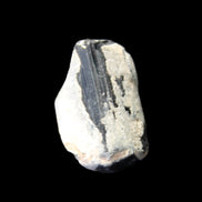 Black Tourmaline terminated crystal cluster in matrix 9.2g in sunlight - Rocks and Things Store