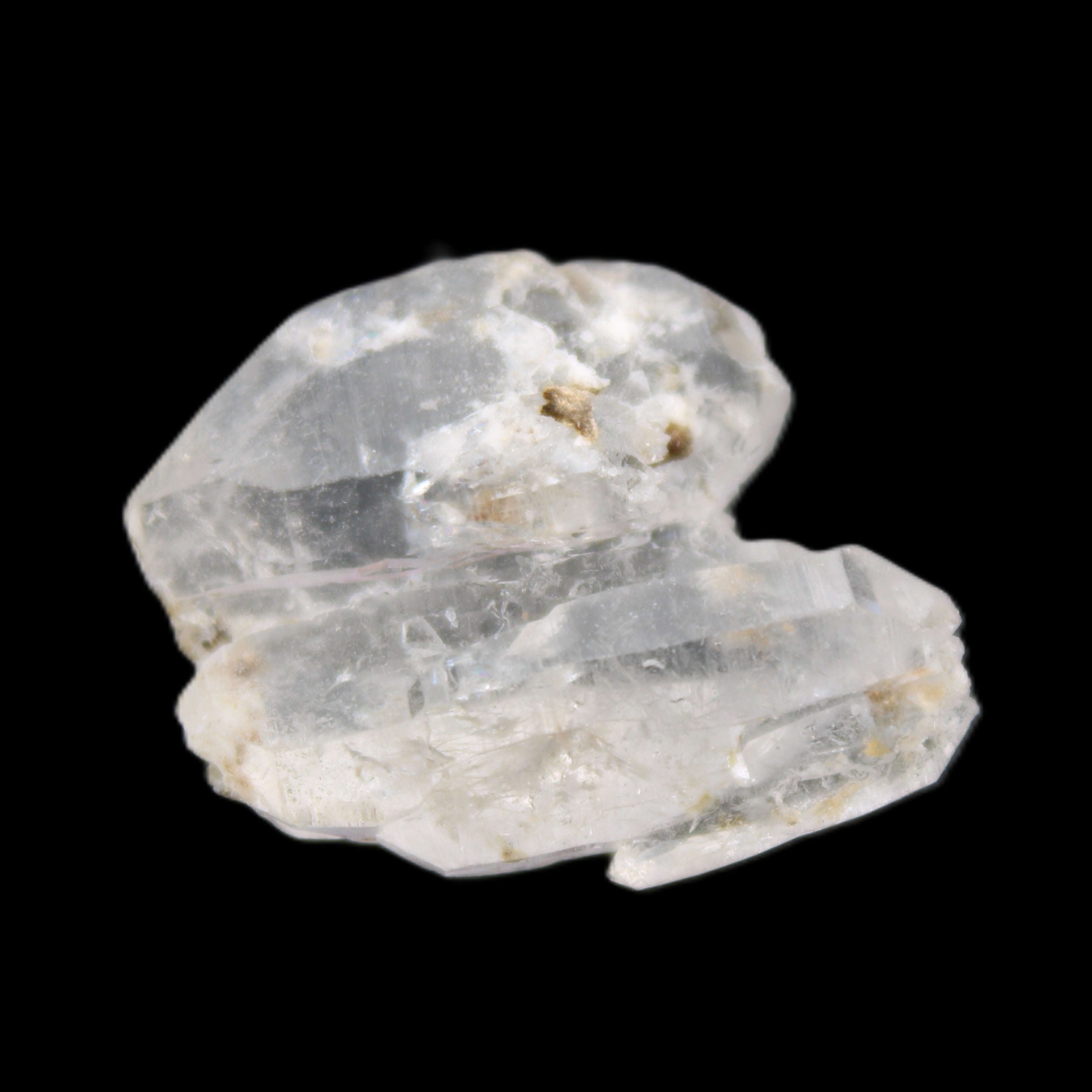 Twinned Diamond Quartz Dolphin crystal 7.2g in sunlight - Rocks and Things Store