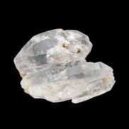 Twinned Diamond Quartz Dolphin crystal 7.2g in sunlight - Rocks and Things Store