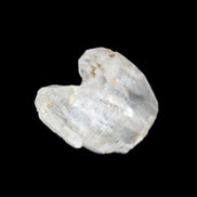 Twinned Diamond Quartz Dolphin crystal 7.2g in sunlight - Rocks and Things Store