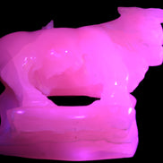 Pink Mangano Calcite Bull 240*85*78mm 3110g in UV light  - Rocks and Things Store