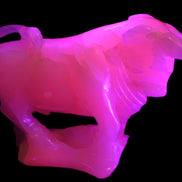 Pink Mangano Calcite Bull 240*85*78mm 3110g in UV light  - Rocks and Things Store
