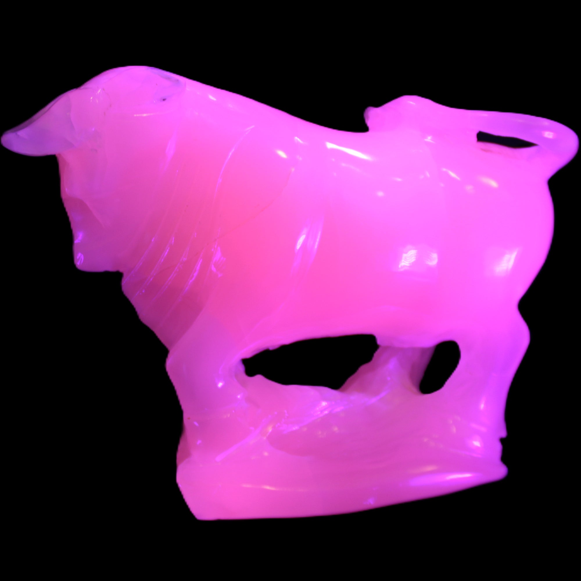 Pink Mangano Calcite Bull 240*85*78mm 3110g in UV light  - Rocks and Things Store