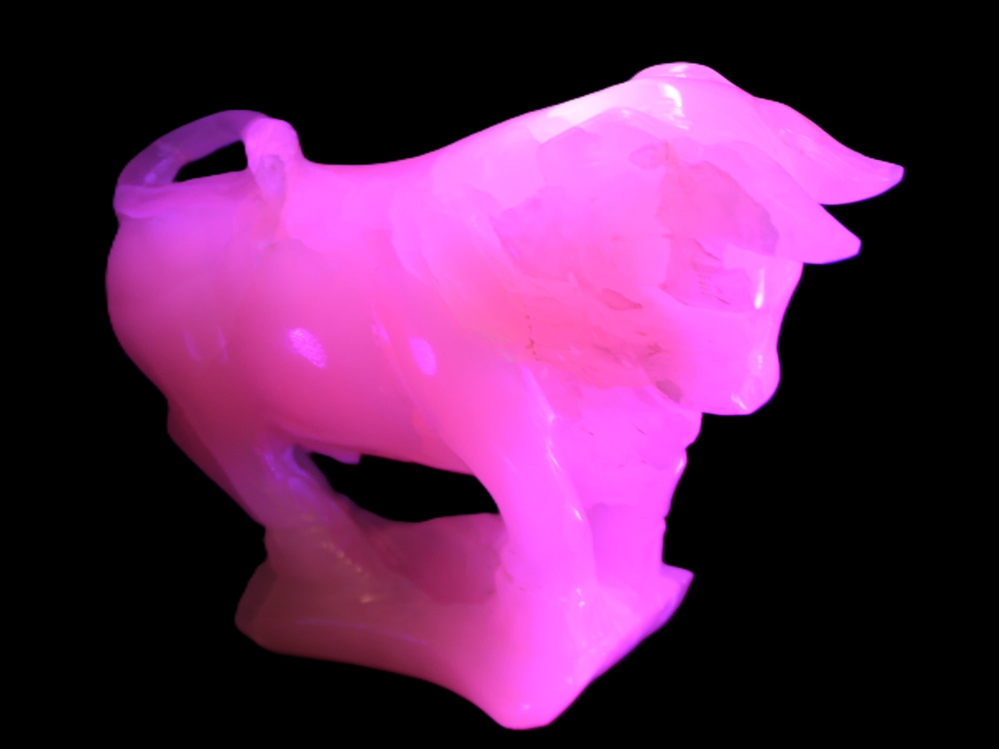 Pink Mangano Calcite Bull 240*85*78mm 3110g in UV light  - Rocks and Things Store